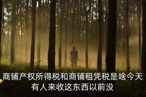 什么叫店面租憑稅，商鋪產(chǎn)權(quán)所得稅和商鋪?zhàn)鈶{稅是啥今天有人來(lái)收這東西以前沒