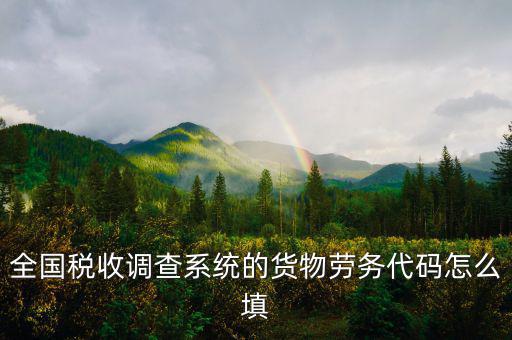 商品和勞務編碼是什么，貨物勞務代碼如何填