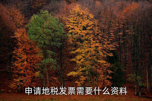 地稅局開票需要帶什么，申請地稅發(fā)票需要什么資料