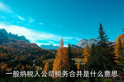 什么是合并納稅企業(yè)所得稅，企業(yè)合并是否繳納企業(yè)所得稅