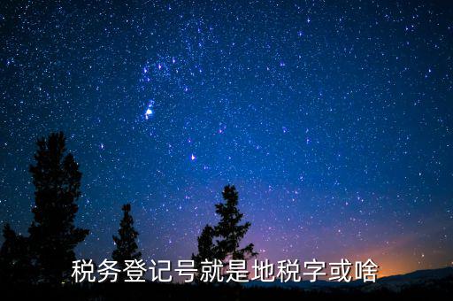 國稅地稅登記號(hào)是什么意思，稅務(wù)登記號(hào)就是地稅字或啥