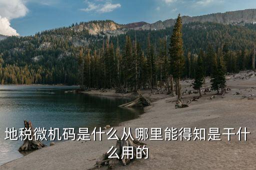 地稅登入碼是什么，地稅管理碼與稅號(hào)是同一個(gè)嗎我想知道稅務(wù)登記證上的稅字XXXXX