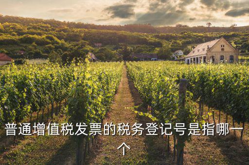 什么是增值稅登記號(hào)碼，增值稅登記號(hào)