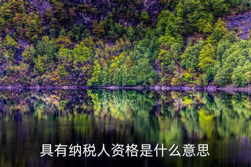 單位納稅資質(zhì)是什么，具有納稅人資格是什么意思