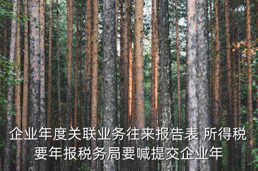 企業(yè)年度關聯(lián)業(yè)務往來報告表 所得稅要年報稅務局要喊提交企業(yè)年