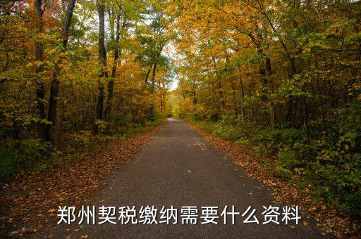 鄭州報稅用什么資料，鄭州國稅網上申報問題