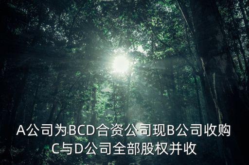A公司為BCD合資公司現B公司收購C與D公司全部股權并收