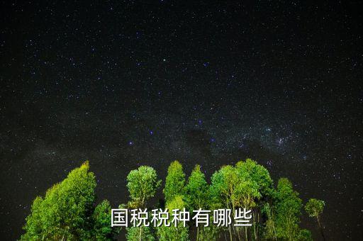 國稅都有什么稅，國稅包括哪些啊