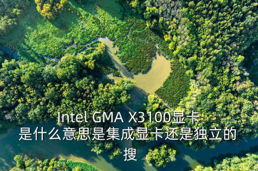 國(guó)稅集成理念是什么意思，Intel GMA X3100顯卡 是什么意思是集成顯卡還是獨(dú)立的  搜