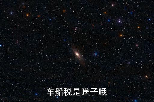 保險的車船稅是什么，車船稅是啥子哦
