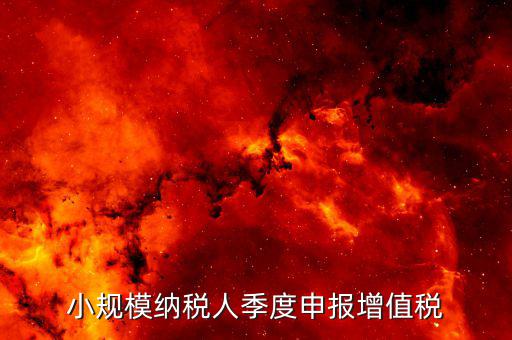 小規(guī)模季報(bào)申報(bào)增值稅帶什么，小規(guī)模納稅人增值稅申報(bào)要準(zhǔn)備什么資料