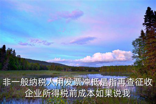 什么是非一般納稅人，非一般納稅人用發(fā)票沖抵是指再查征收企業(yè)所得稅前成本如果說(shuō)我