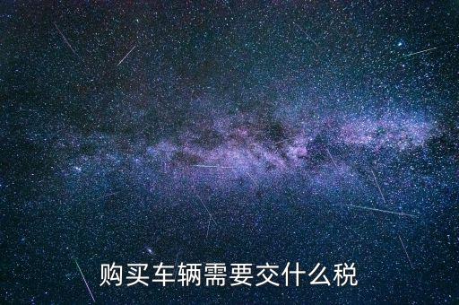 車輛納稅需要什么，汽車交稅需要帶什么