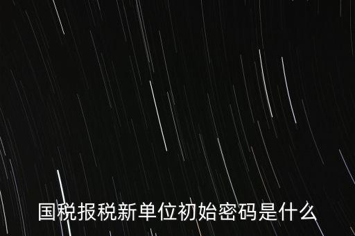 國(guó)稅報(bào)稅新單位初始密碼是什么