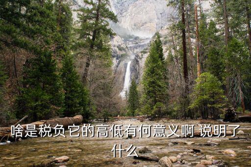 什么是稅負分析，增值稅稅負什么意思