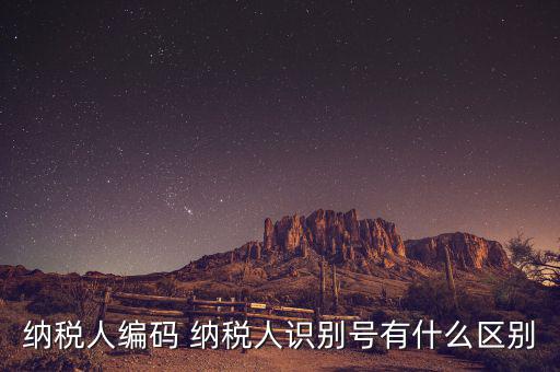 納稅人的識別號是什么意思，納稅人識別號是什么