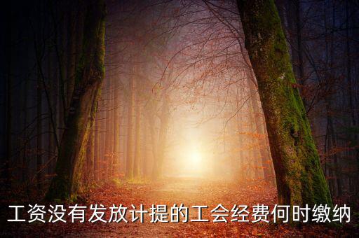 工會(huì)經(jīng)費(fèi)一般什么時(shí)候交，工資沒有發(fā)放計(jì)提的工會(huì)經(jīng)費(fèi)何時(shí)繳納