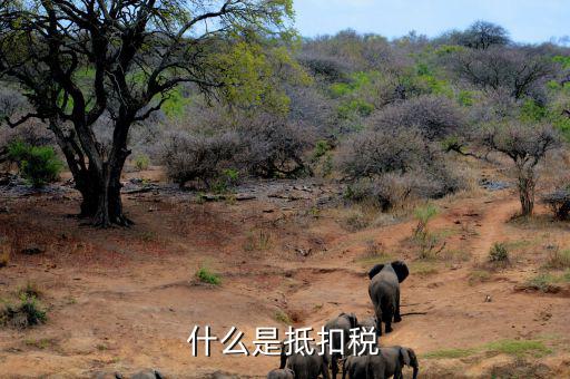 什么是稅費(fèi)抵扣，抵扣是什么概念