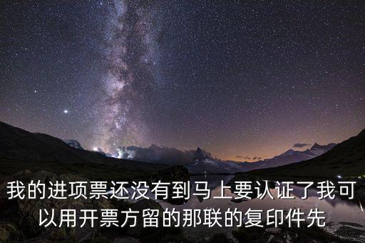 納稅清單驗證碼是什么，我的進項票還沒有到馬上要認證了我可以用開票方留的那聯(lián)的復(fù)印件先