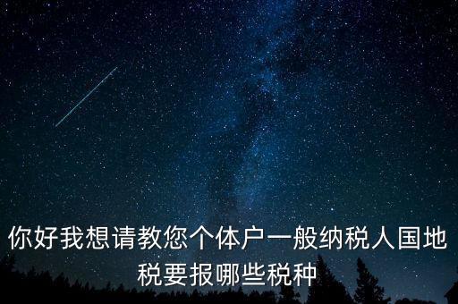 你好我想請教您個體戶一般納稅人國地稅要報哪些稅種