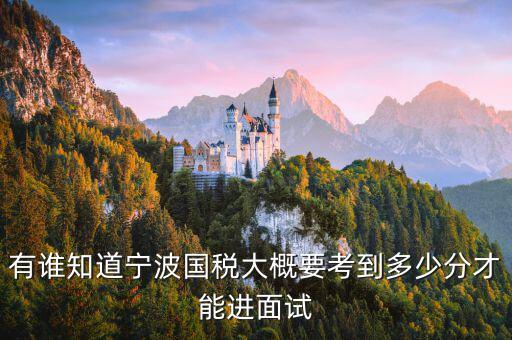 國稅 要求什么素質(zhì)，國稅公務(wù)員面試