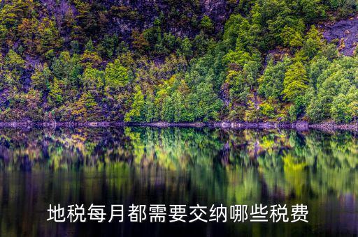 濟(jì)寧地稅收什么稅，地稅每月都需要交納哪些稅費(fèi)