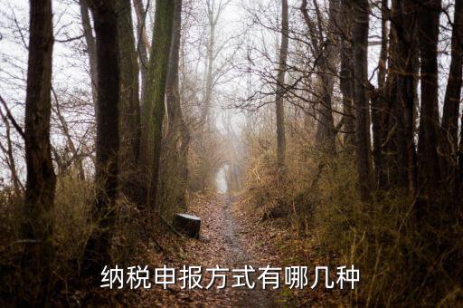 納稅申報方式有哪幾種