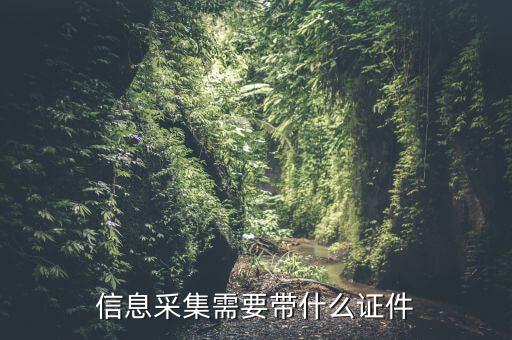 實(shí)名信息采集帶什么東西，去銀行辦理對(duì)公信息采集表需要帶哪些東西