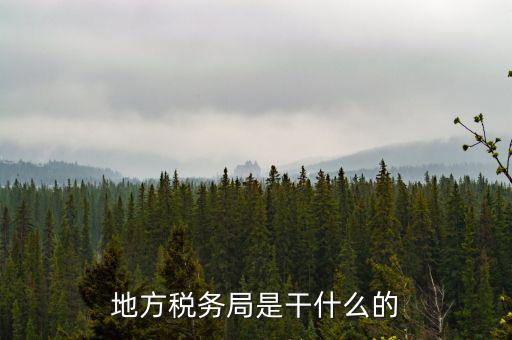 地稅局涉外稅收做什么，陜西發(fā)票涉外地稅是什么意思