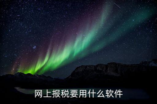 納稅申報(bào)的軟件是什么，申報(bào)軟件是什么