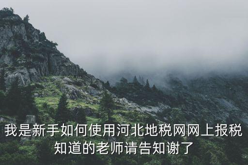 河北地稅申報用戶名是什么意思，用戶名是什么意思