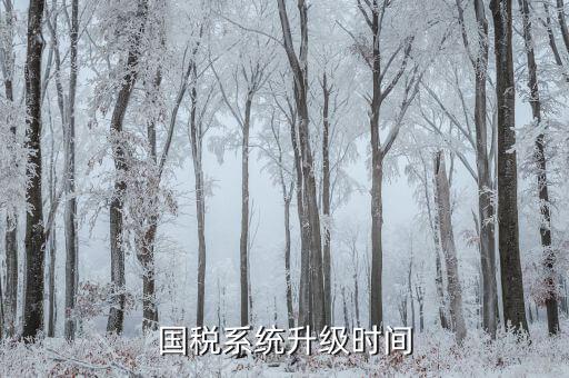 稅務(wù)系統(tǒng)什么時候更新的，深圳國稅系統(tǒng)什么時候換的