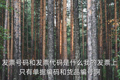 發(fā)票代碼和發(fā)票號碼是什么，發(fā)票代碼和發(fā)票號碼有什么用