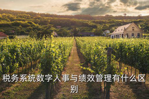 什么是稅務(wù)績效管理工作亮點(diǎn)，績效管理是什么