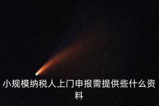什么是上門申報，小規(guī)模納稅人上門申報需提供些什么資料