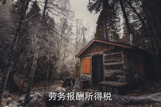 什么是勞動(dòng)報(bào)酬稅，勞務(wù)稅是什么