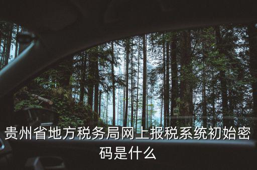 黑龍江電子稅務(wù)是什么，貴州省地方稅務(wù)局網(wǎng)上報稅系統(tǒng)初始密碼是什么