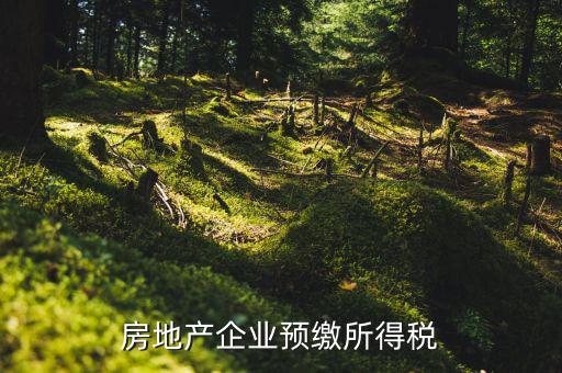 房地產(chǎn)預(yù)繳是什么意思，房價(jià)預(yù)交1萬抵2萬是什么意思