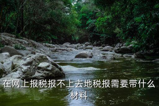 網(wǎng)上報(bào)稅反寫失敗帶什么手續(xù)，去國(guó)稅局查看反寫需要帶什么