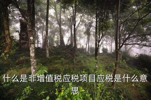 成品油應稅和非應稅是什么意思，什么是非增值稅應稅項目應稅是什么意思