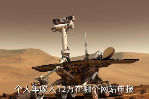 江蘇12萬報(bào)稅在什么網(wǎng)站上，江蘇省地稅網(wǎng)上報(bào)稅網(wǎng)址
