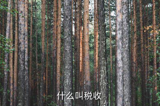什么shi稅收，稅收是什么