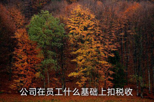 什么是稅收基礎(chǔ)工作，問(wèn)個(gè)問(wèn)題稅務(wù)基本建設(shè) 是個(gè)什么崗位