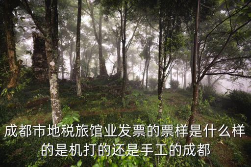 發(fā)票票樣是什么意思，一張票上印著票樣是什么意思可以用嗎