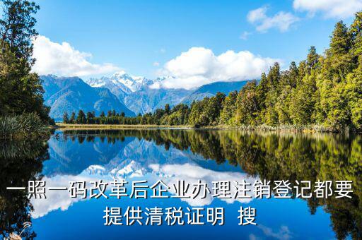 一碼一照清稅需要提交什么資料，一照一碼改革后企業(yè)辦理注銷登記都要提供清稅證明  搜