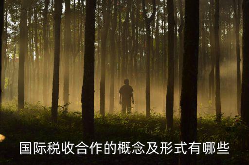 國際稅源是什么意思，國際稅收合作的概念及形式有哪些
