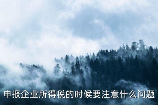 年度企業(yè)所得稅申報注意什么，申報企業(yè)所得稅的時候要注意什么問題
