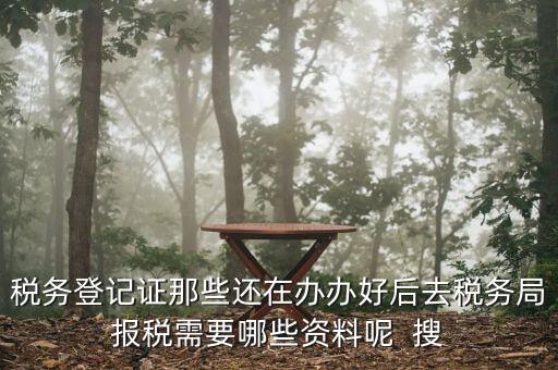 新辦企業(yè)稅務(wù)局需要什么資料，稅務(wù)登記證那些還在辦辦好后去稅務(wù)局報稅需要哪些資料呢  搜