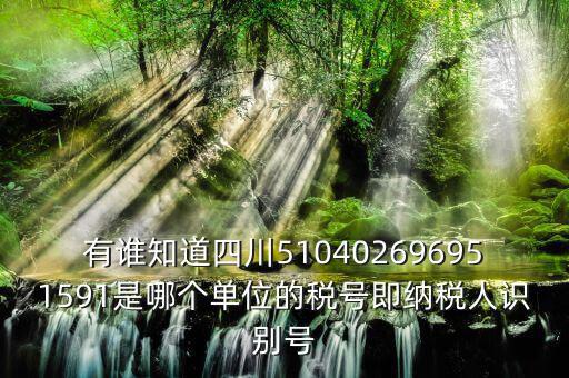 四川國稅廳帳號是什么，有誰知道四川510402696951591是哪個單位的稅號即納稅人識別號