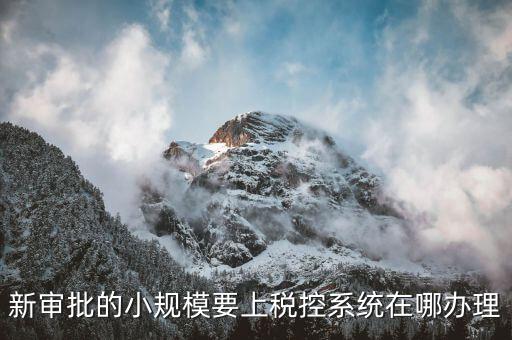 什么是小規(guī)模稅控升級(jí)，新審批的小規(guī)模要上稅控系統(tǒng)在哪辦理